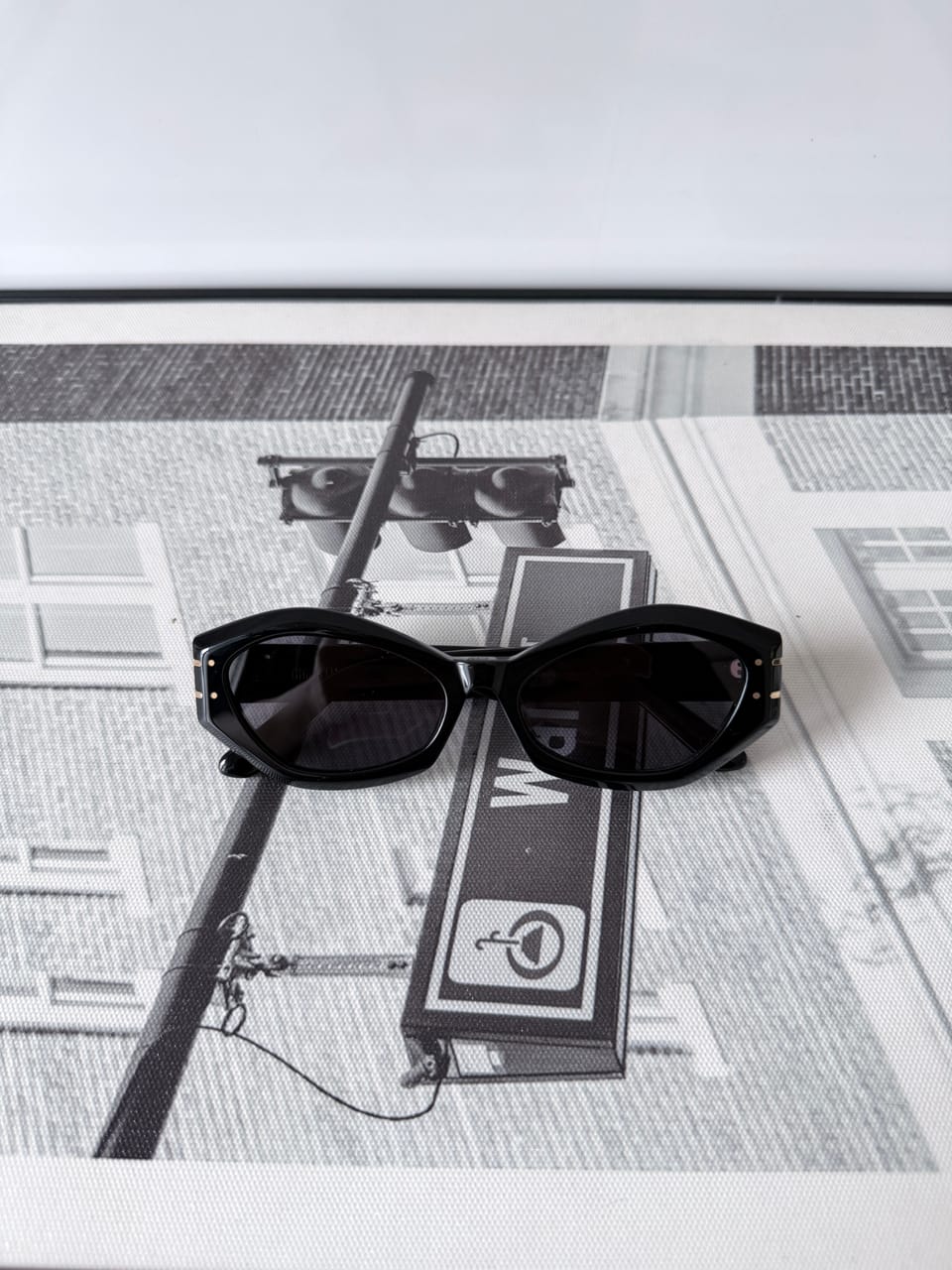 DIOR SIGNATURE B1U